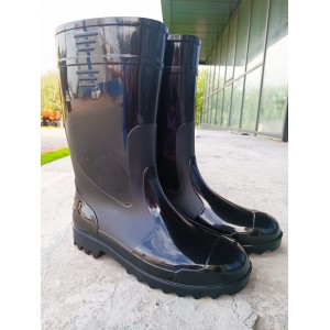 Чоботи чоловічі традиційні 