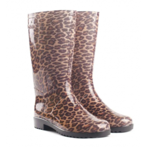 Сапоги жіночі 