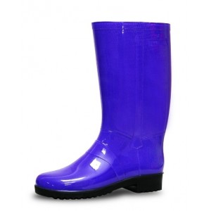 Сапоги жіночі Літма Сапоги жіночі Літма